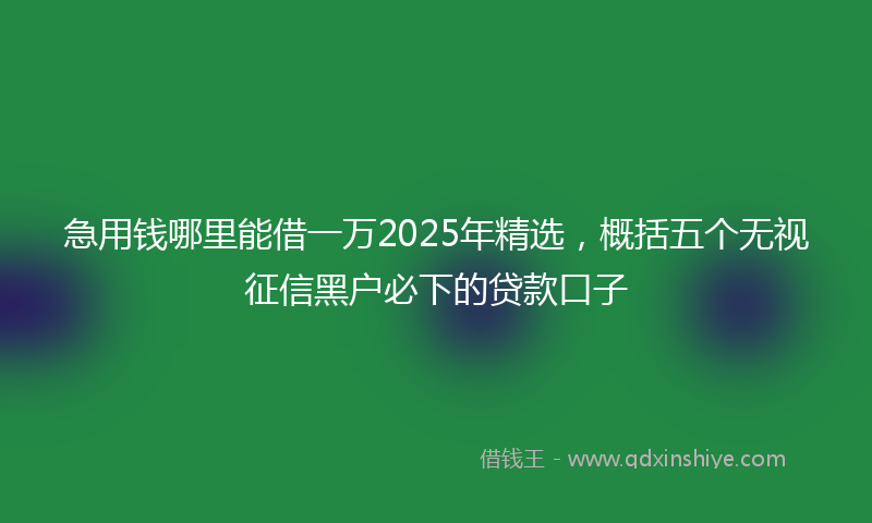 急用钱哪里能借一万2025年精选，概括五个无视征信黑户必下的贷款口子