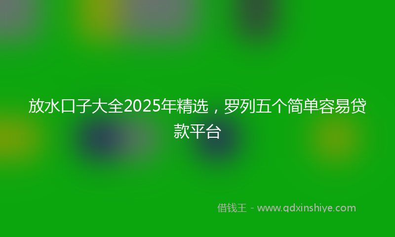 放水口子大全2025年精选，罗列五个简单容易贷款平台