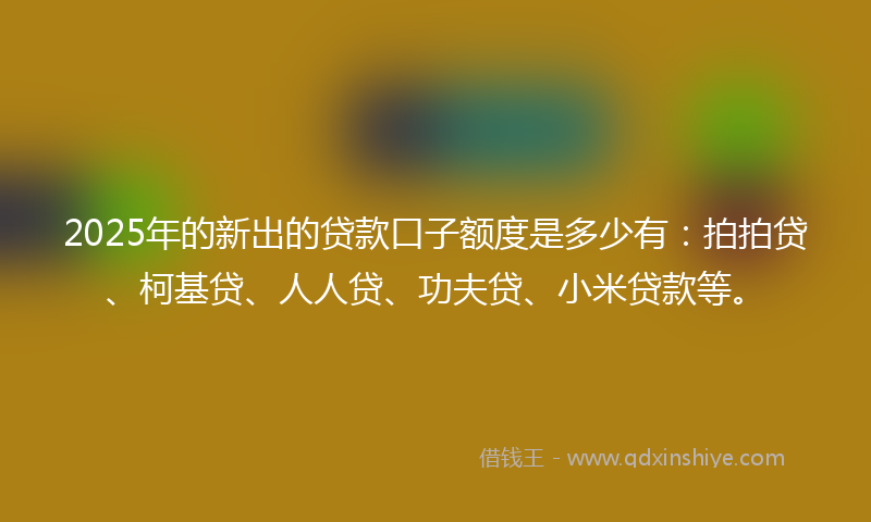 2025年的新出的贷款口子额度是多少有：拍拍贷、柯基贷、人人贷、功夫贷、小米贷款等。