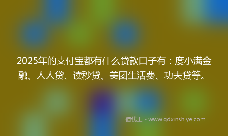 2025年的支付宝都有什么贷款口子有：度小满金融、人人贷、读秒贷、美团生活费、功夫贷等。