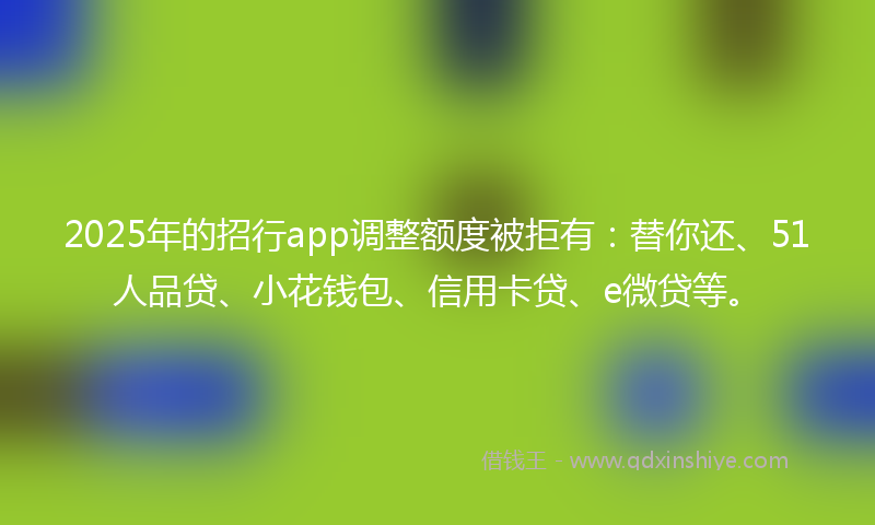 2025年的招行app调整额度被拒有：替你还、51人品贷、小花钱包、信用卡贷、e微贷等。