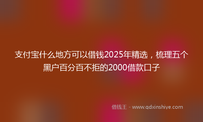 支付宝什么地方可以借钱2025年精选，梳理五个黑户百分百不拒的2000借款口子