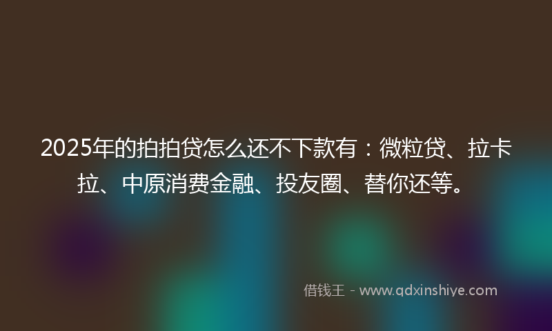 2025年的拍拍贷怎么还不下款有：微粒贷、拉卡拉、中原消费金融、投友圈、替你还等。