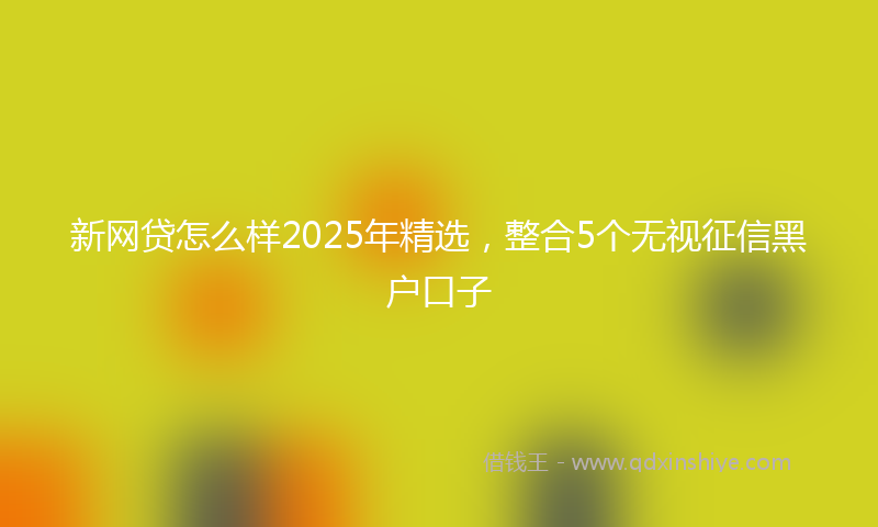 新网贷怎么样2025年精选，整合5个无视征信黑户口子