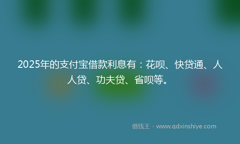 2025年的支付宝借款利息有：花呗、快贷通、人人贷、功夫贷、省呗等。