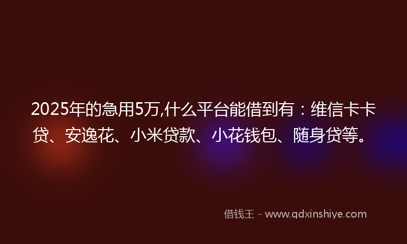 2025年的急用5万,什么平台能借到有：维信卡卡贷、安逸花、小米贷款、小花钱包、随身贷等。