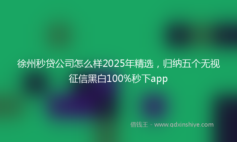 徐州秒贷公司怎么样2025年精选，归纳五个无视征信黑白100%秒下app