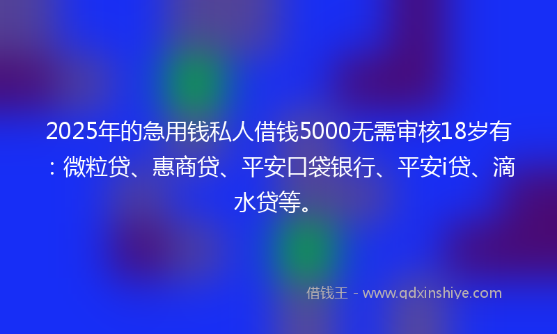 2025年的急用钱私人借钱5000无需审核18岁有：微粒贷、惠商贷、平安口袋银行、平安i贷、滴水贷等。