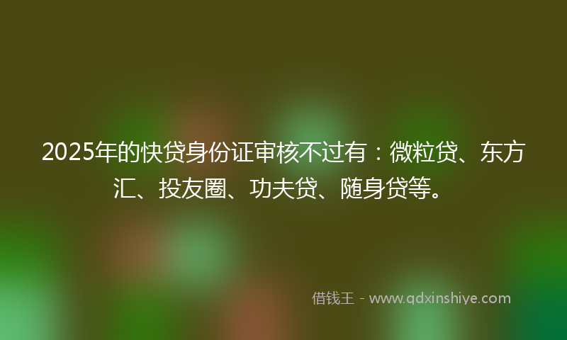 2025年的快贷身份证审核不过有：微粒贷、东方汇、投友圈、功夫贷、随身贷等。