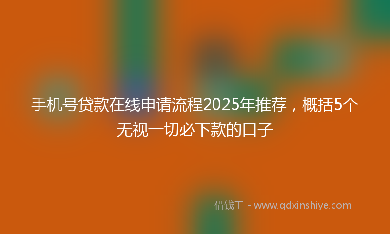 手机号贷款在线申请流程2025年推荐，概括5个无视一切必下款的口子