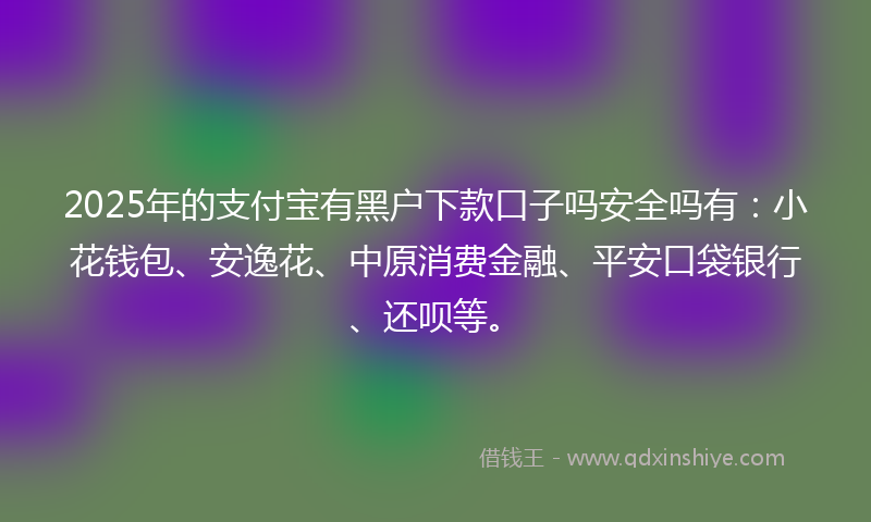 2025年的支付宝有黑户下款口子吗安全吗有：小花钱包、安逸花、中原消费金融、平安口袋银行、还呗等。