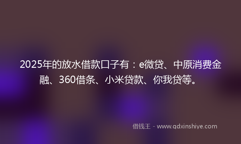 2025年的放水借款口子有：e微贷、中原消费金融、360借条、小米贷款、你我贷等。