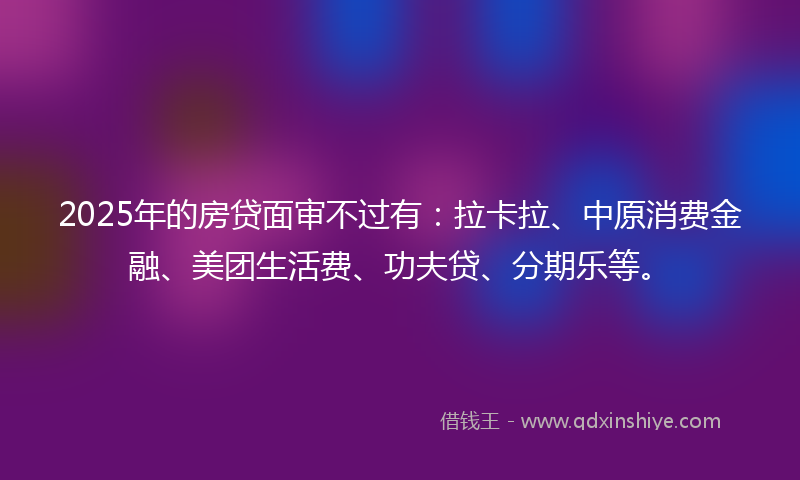 2025年的房贷面审不过有：拉卡拉、中原消费金融、美团生活费、功夫贷、分期乐等。