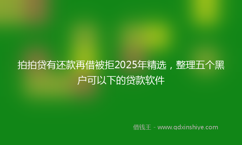 拍拍贷有还款再借被拒2025年精选，整理五个黑户可以下的贷款软件