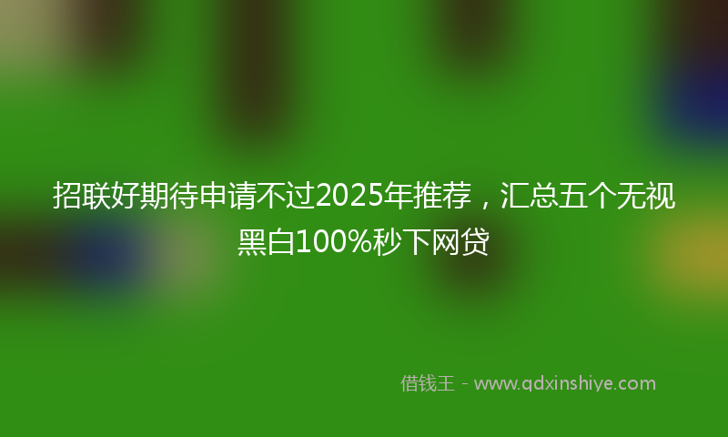 招联好期待申请不过2025年推荐，汇总五个无视黑白100%秒下网贷