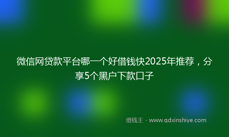 微信网贷款平台哪一个好借钱快2025年推荐，分享5个黑户下款口子