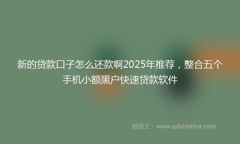 新的贷款口子怎么还款啊2025年推荐，整合五个手机小额黑户快速贷款软件