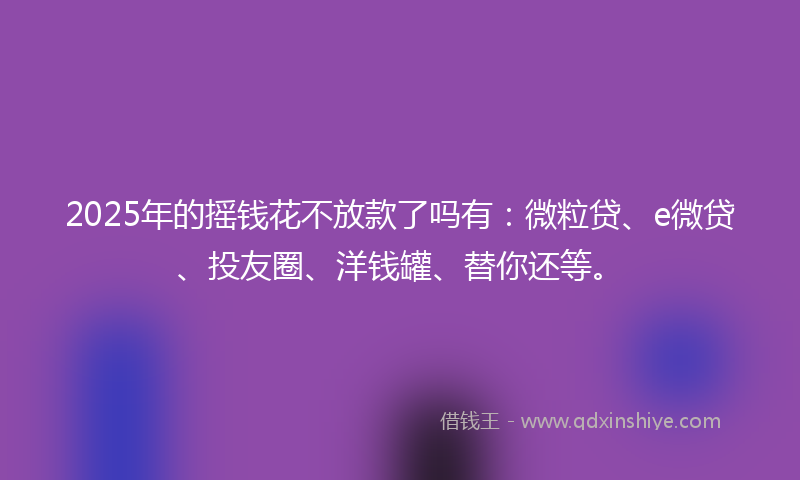 2025年的摇钱花不放款了吗有：微粒贷、e微贷、投友圈、洋钱罐、替你还等。