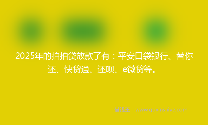 2025年的拍拍贷放款了有：平安口袋银行、替你还、快贷通、还呗、e微贷等。