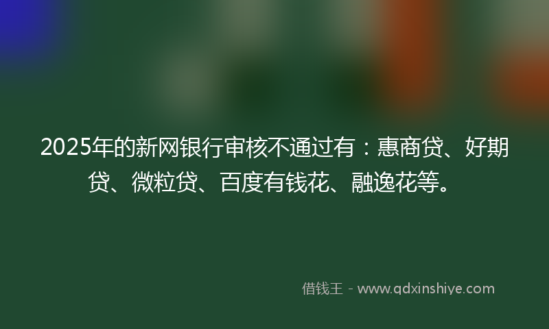 2025年的新网银行审核不通过有：惠商贷、好期贷、微粒贷、百度有钱花、融逸花等。