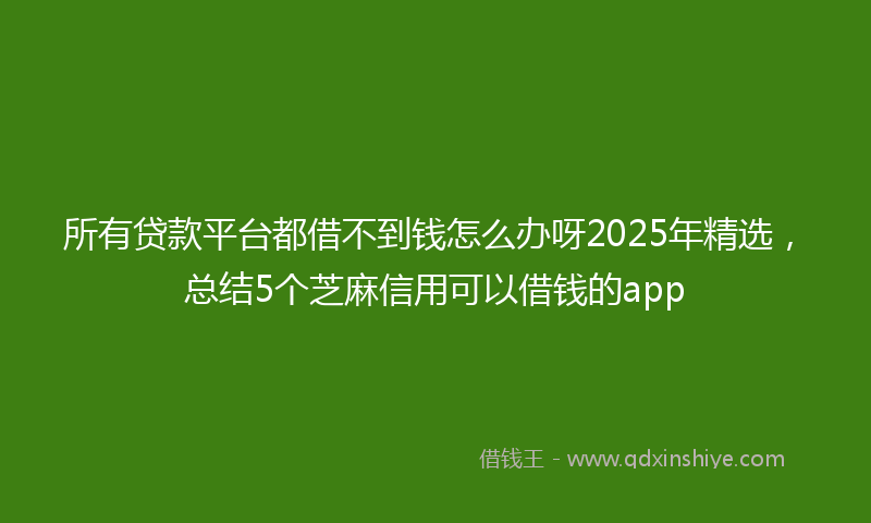 所有贷款平台都借不到钱怎么办呀2025年精选，总结5个芝麻信用可以借钱的app