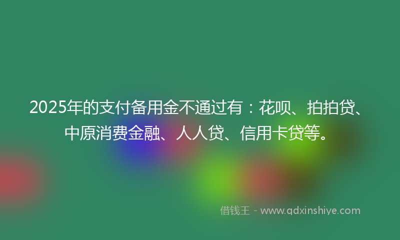 2025年的支付备用金不通过有：花呗、拍拍贷、中原消费金融、人人贷、信用卡贷等。