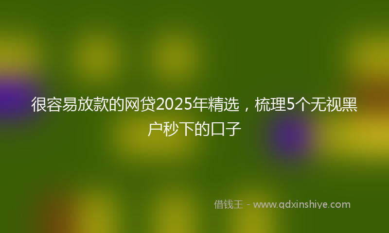 很容易放款的网贷2025年精选，梳理5个无视黑户秒下的口子