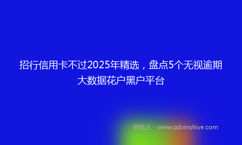 招行信用卡不过2025年精选，盘点5个无视逾期大数据花户黑户平台