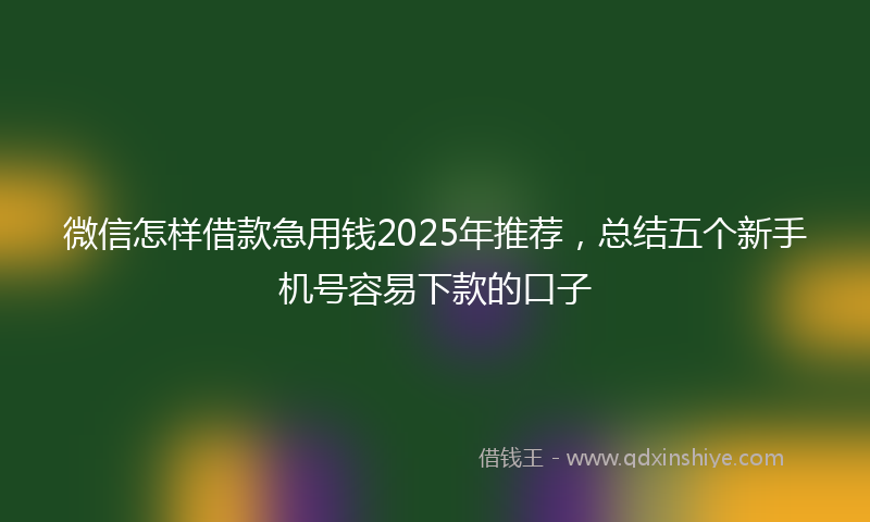 微信怎样借款急用钱2025年推荐，总结五个新手机号容易下款的口子