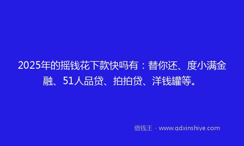 2025年的摇钱花下款快吗有：替你还、度小满金融、51人品贷、拍拍贷、洋钱罐等。