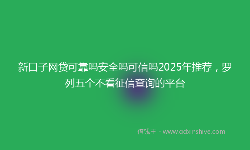 新口子网贷可靠吗安全吗可信吗2025年推荐，罗列五个不看征信查询的平台
