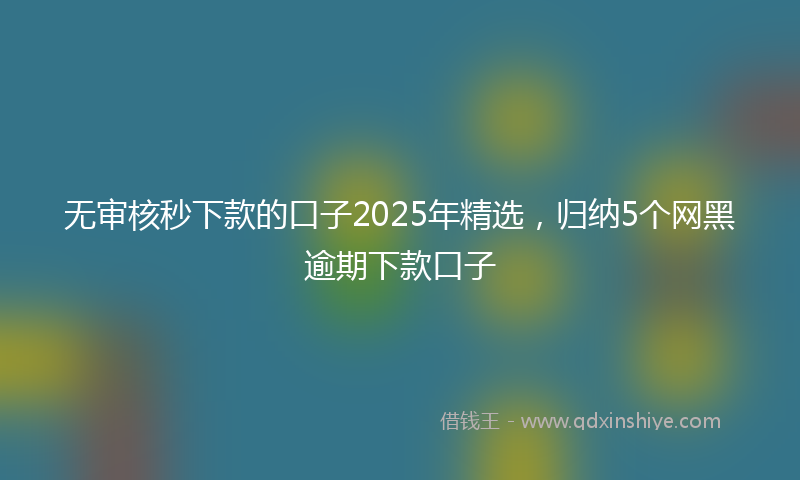 无审核秒下款的口子2025年精选，归纳5个网黑逾期下款口子