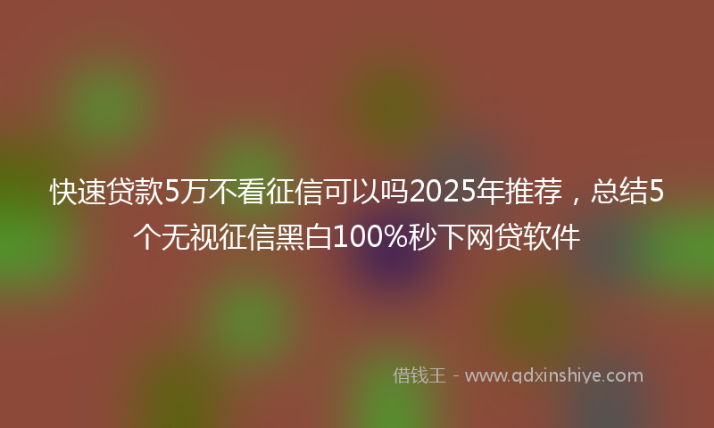 快速贷款5万不看征信可以吗2025年推荐，总结5个无视征信黑白100%秒下网贷软件