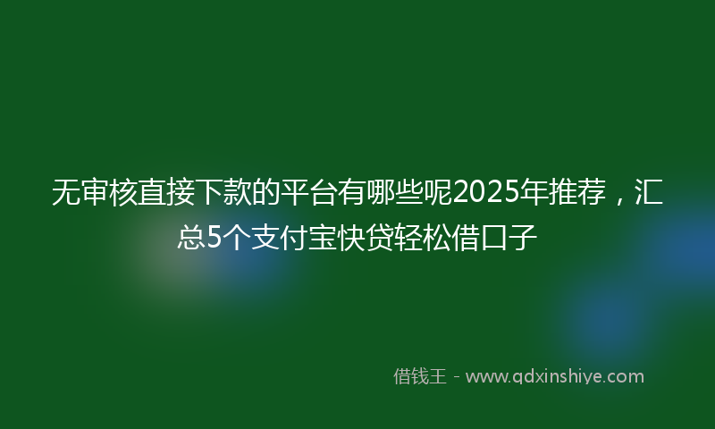 无审核直接下款的平台有哪些呢2025年推荐，汇总5个支付宝快贷轻松借口子