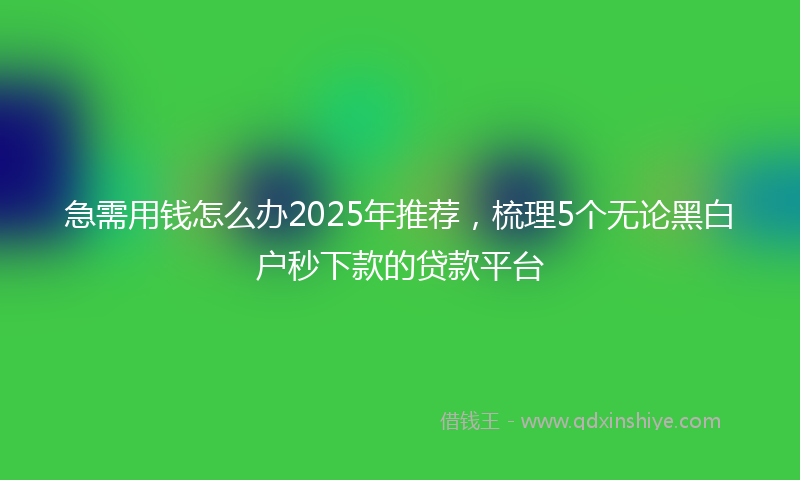 急需用钱怎么办2025年推荐，梳理5个无论黑白户秒下款的贷款平台