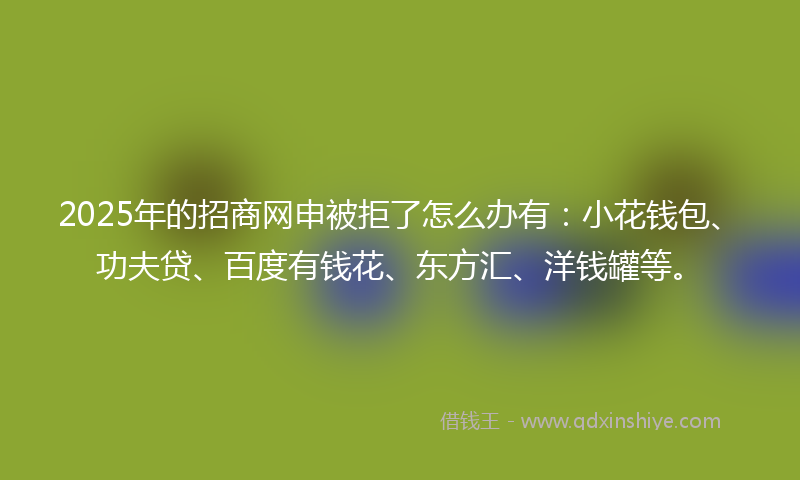 2025年的招商网申被拒了怎么办有：小花钱包、功夫贷、百度有钱花、东方汇、洋钱罐等。