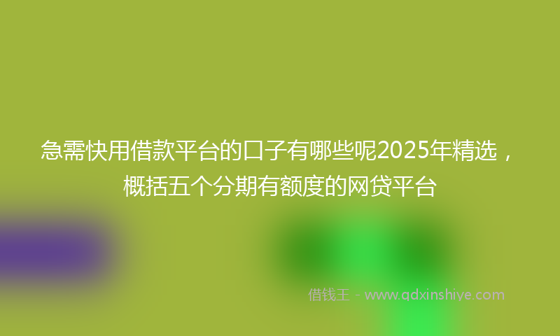 急需快用借款平台的口子有哪些呢2025年精选，概括五个分期有额度的网贷平台