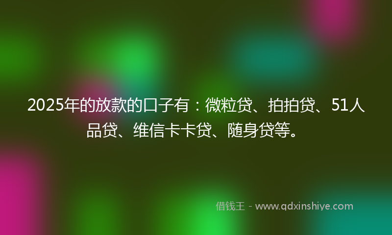 2025年的放款的口子有：微粒贷、拍拍贷、51人品贷、维信卡卡贷、随身贷等。