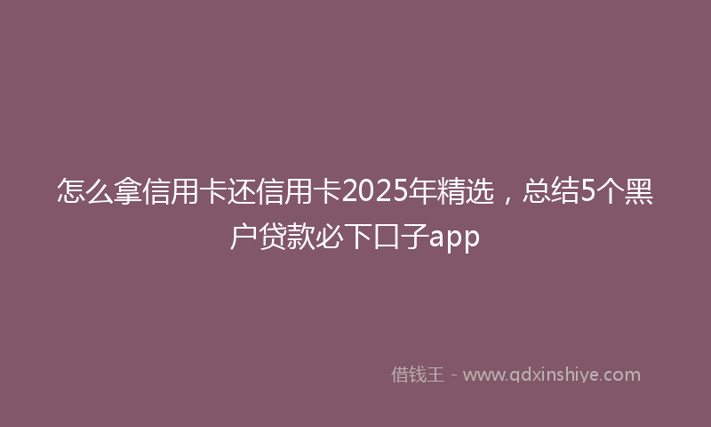 怎么拿信用卡还信用卡2025年精选，总结5个黑户贷款必下口子app