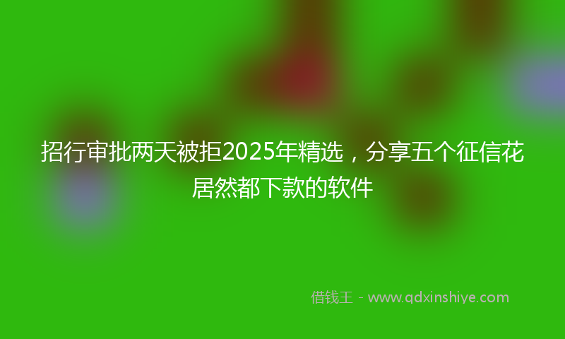 招行审批两天被拒2025年精选，分享五个征信花居然都下款的软件