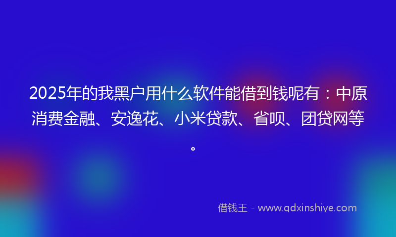 2025年的我黑户用什么软件能借到钱呢有：中原消费金融、安逸花、小米贷款、省呗、团贷网等。