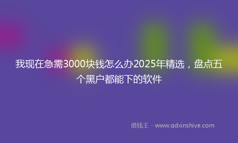 我现在急需3000块钱怎么办2025年精选，盘点五个黑户都能下的软件