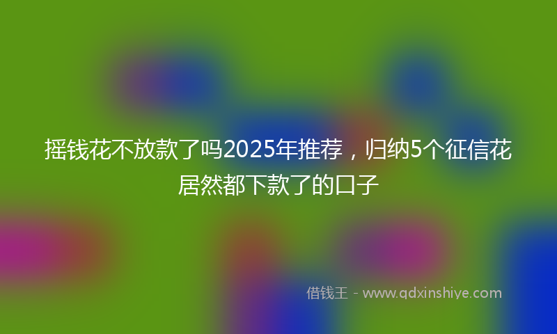 摇钱花不放款了吗2025年推荐，归纳5个征信花居然都下款了的口子