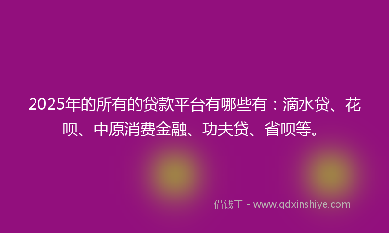 2025年的所有的贷款平台有哪些有：滴水贷、花呗、中原消费金融、功夫贷、省呗等。
