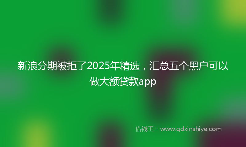 新浪分期被拒了2025年精选，汇总五个黑户可以做大额贷款app
