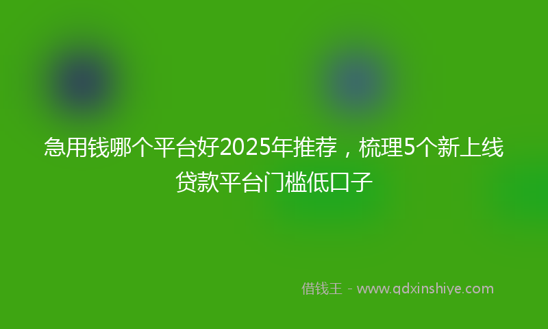 急用钱哪个平台好2025年推荐，梳理5个新上线贷款平台门槛低口子