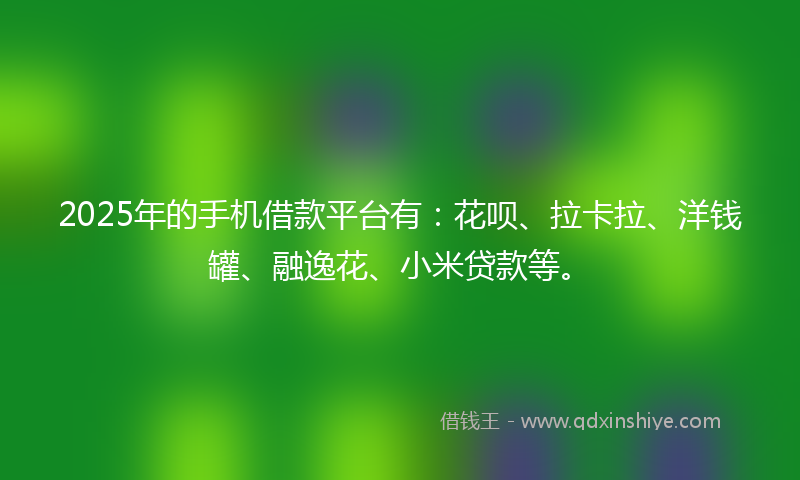 2025年的手机借款平台有：花呗、拉卡拉、洋钱罐、融逸花、小米贷款等。