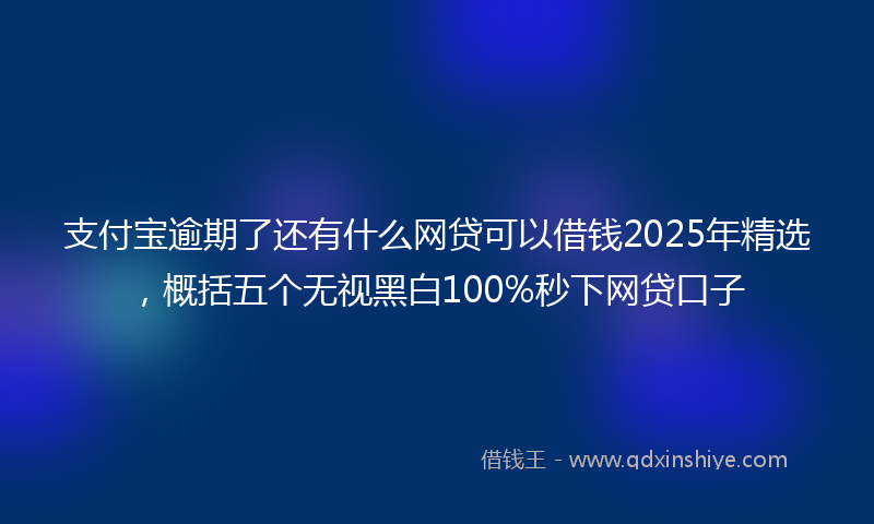 支付宝逾期了还有什么网贷可以借钱2025年精选，概括五个无视黑白100%秒下网贷口子