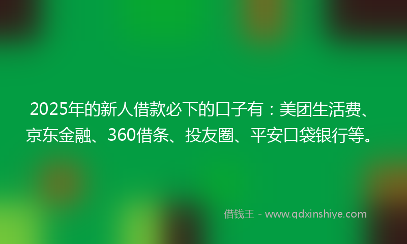 2025年的新人借款必下的口子有：美团生活费、京东金融、360借条、投友圈、平安口袋银行等。