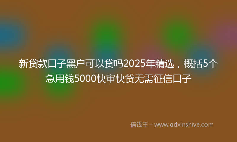新贷款口子黑户可以贷吗2025年精选，概括5个急用钱5000快审快贷无需征信口子